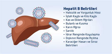 Hepatit b ekşi